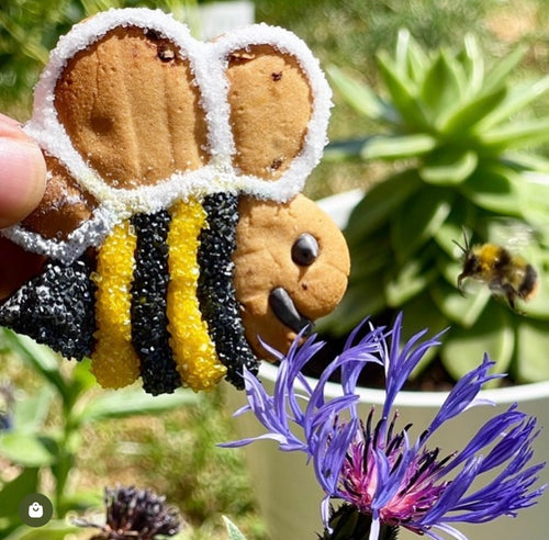 Bumble Bees