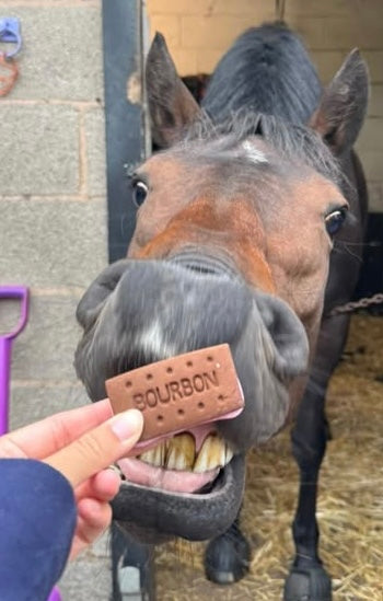 Coloube's Horsey High Tea Box