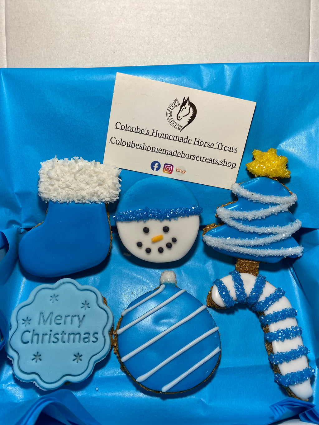 💙 Blue Christmas Horse Treat Gift Box