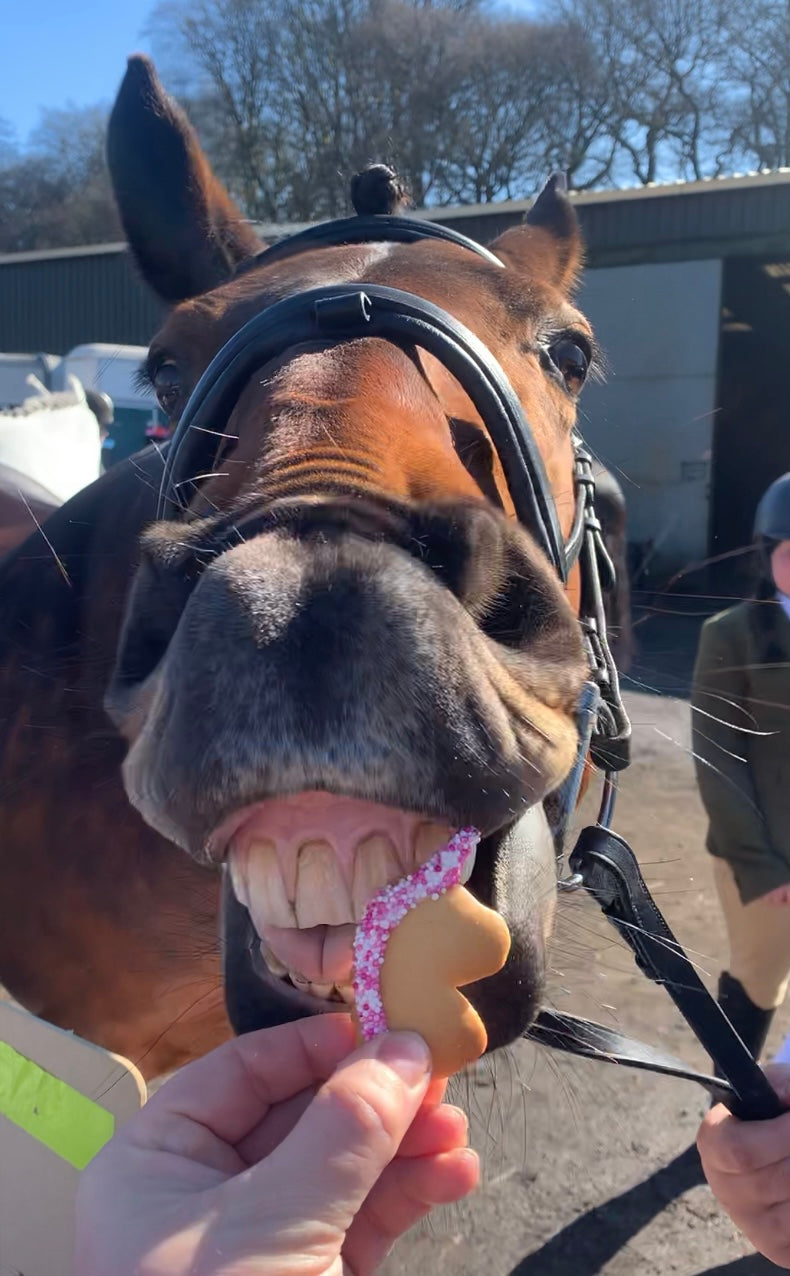 Coloube's  Mini Unicorn Horse Treats