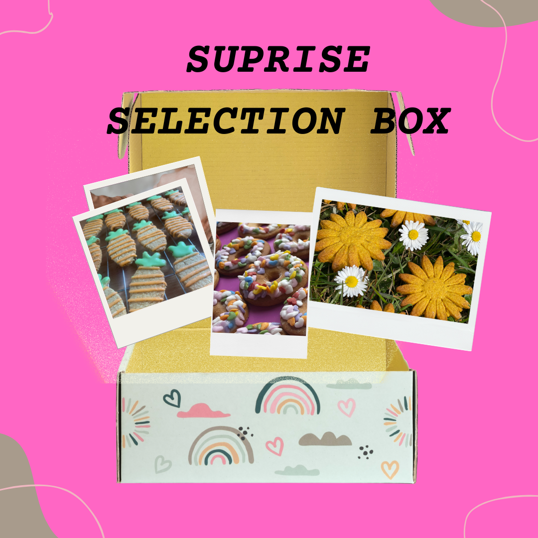 Coloube's Surprise Selection Box of Horse Treats