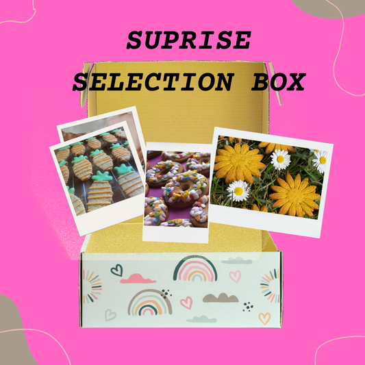 Coloube's Surprise Selection Box of Horse Treats
