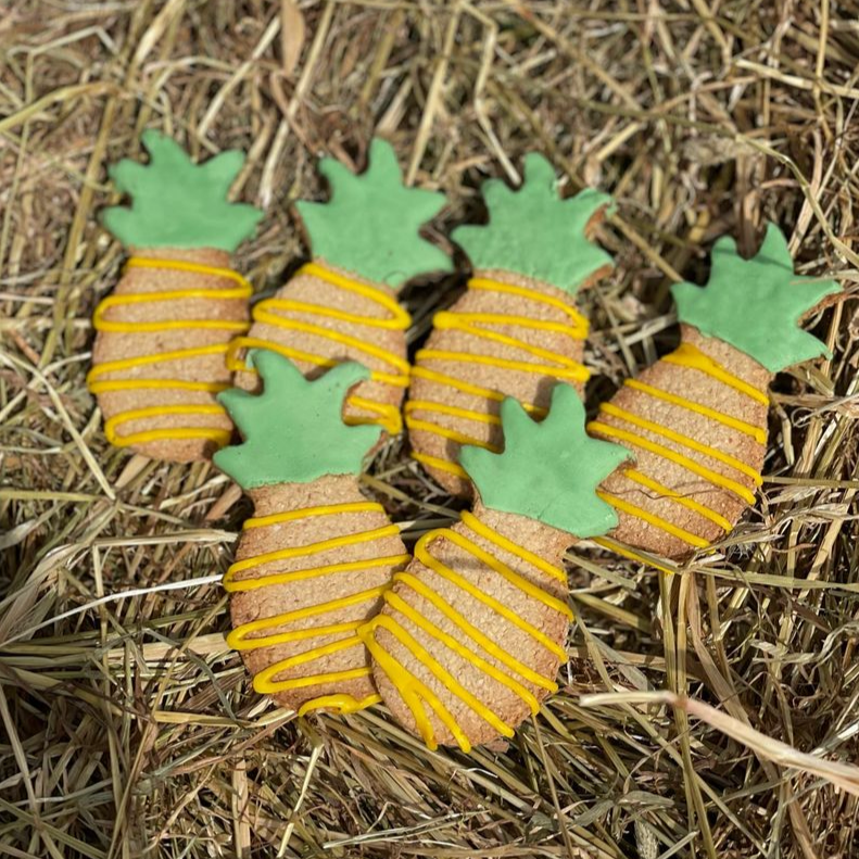 Coloube's Pineapple Shaped Horse Treats