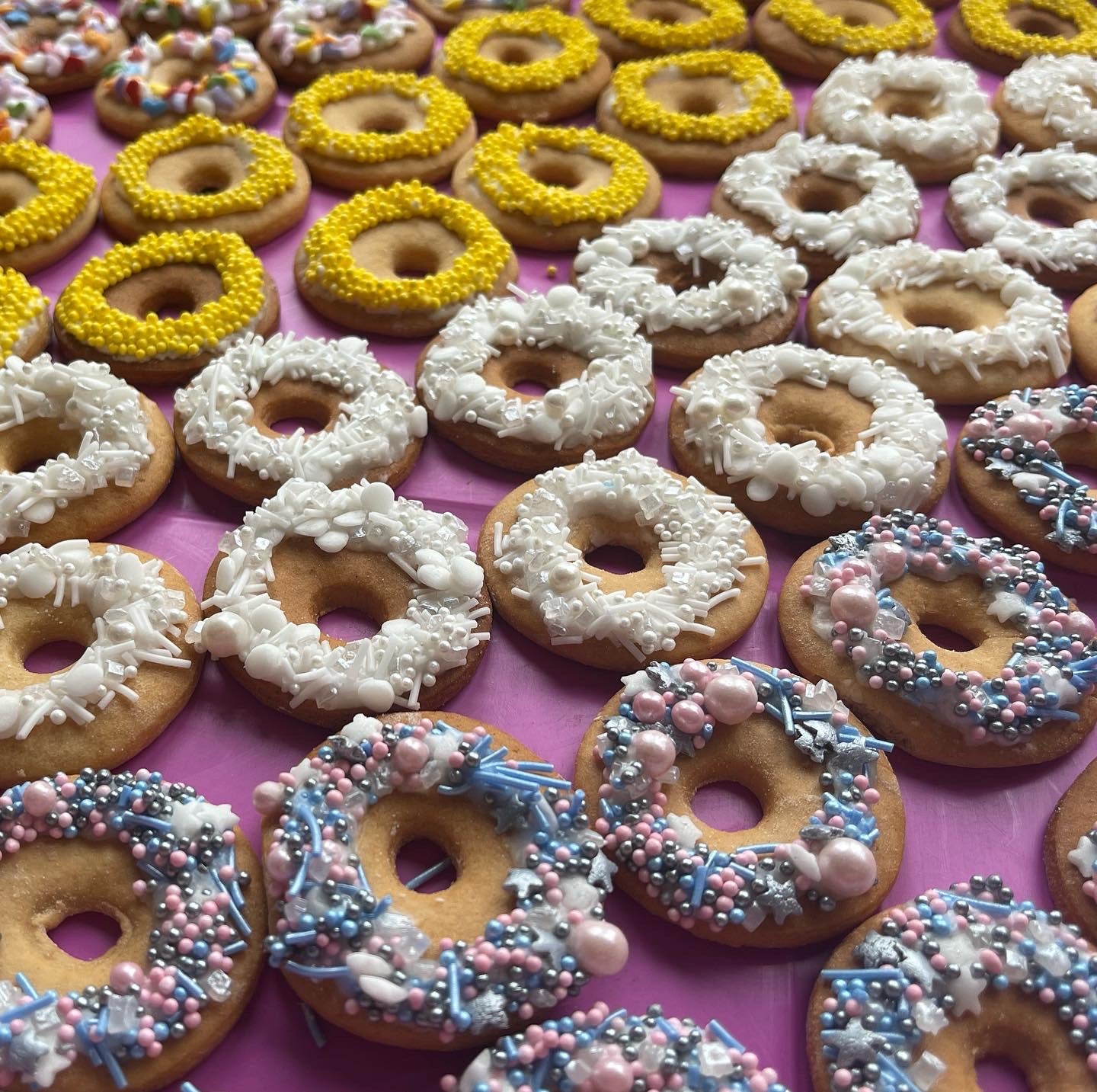 Coloube's Mini Donut Horse Treats